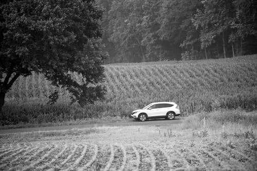 Car on Road among Fields