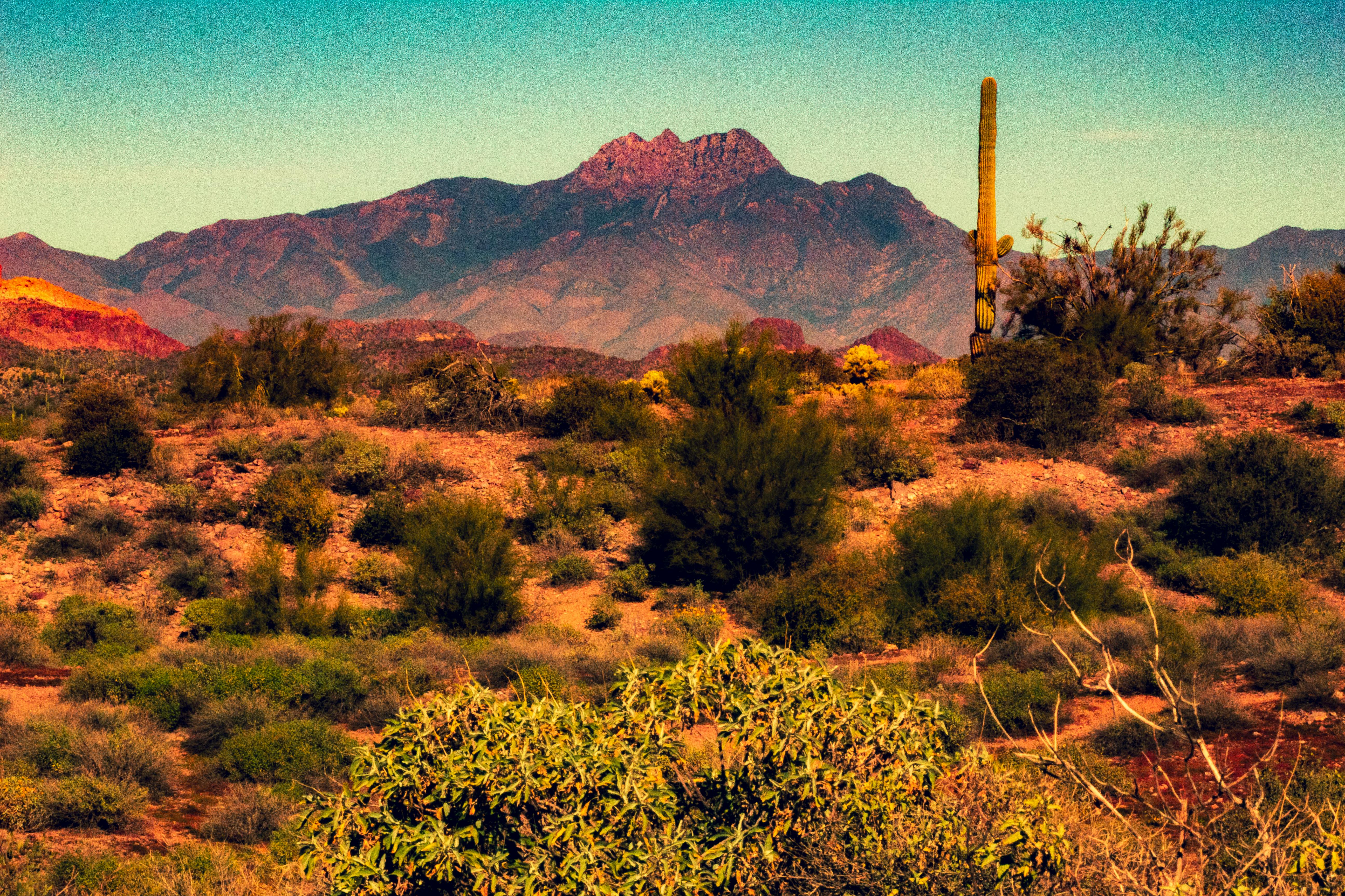 Free stock photo of arizona, desert