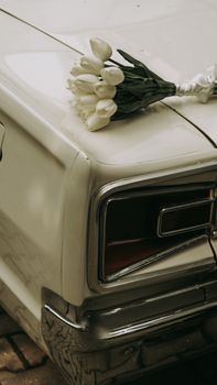 A close-up of white tulips elegantly placed on the bumper of a classic car, symbolizing grace and style.