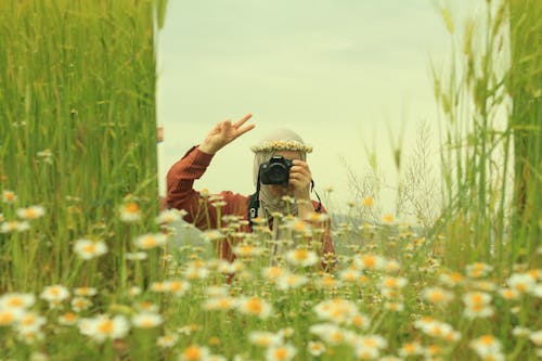 Woman Taking Pictures behind Flowers on Meadow