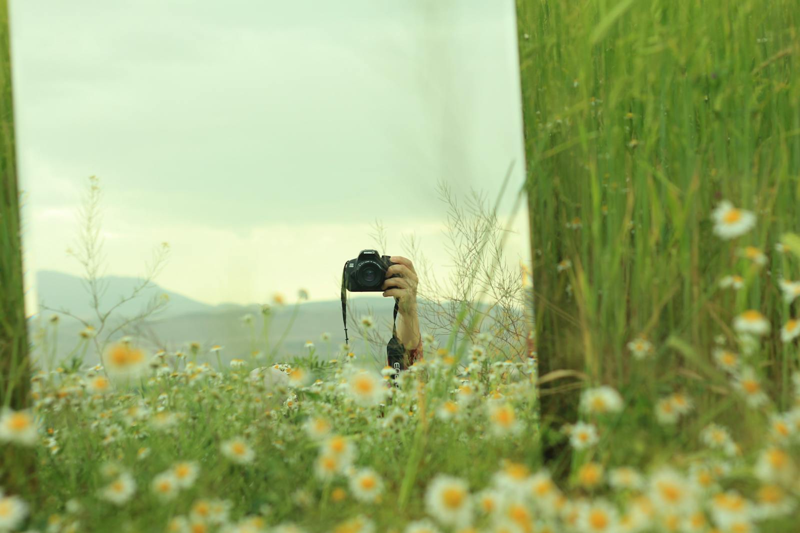 Camera Logo Photos Download The BEST Free Camera Logo Stock Photos camera-logo-photos-download-the-best-free-camera-logo-stock-photos