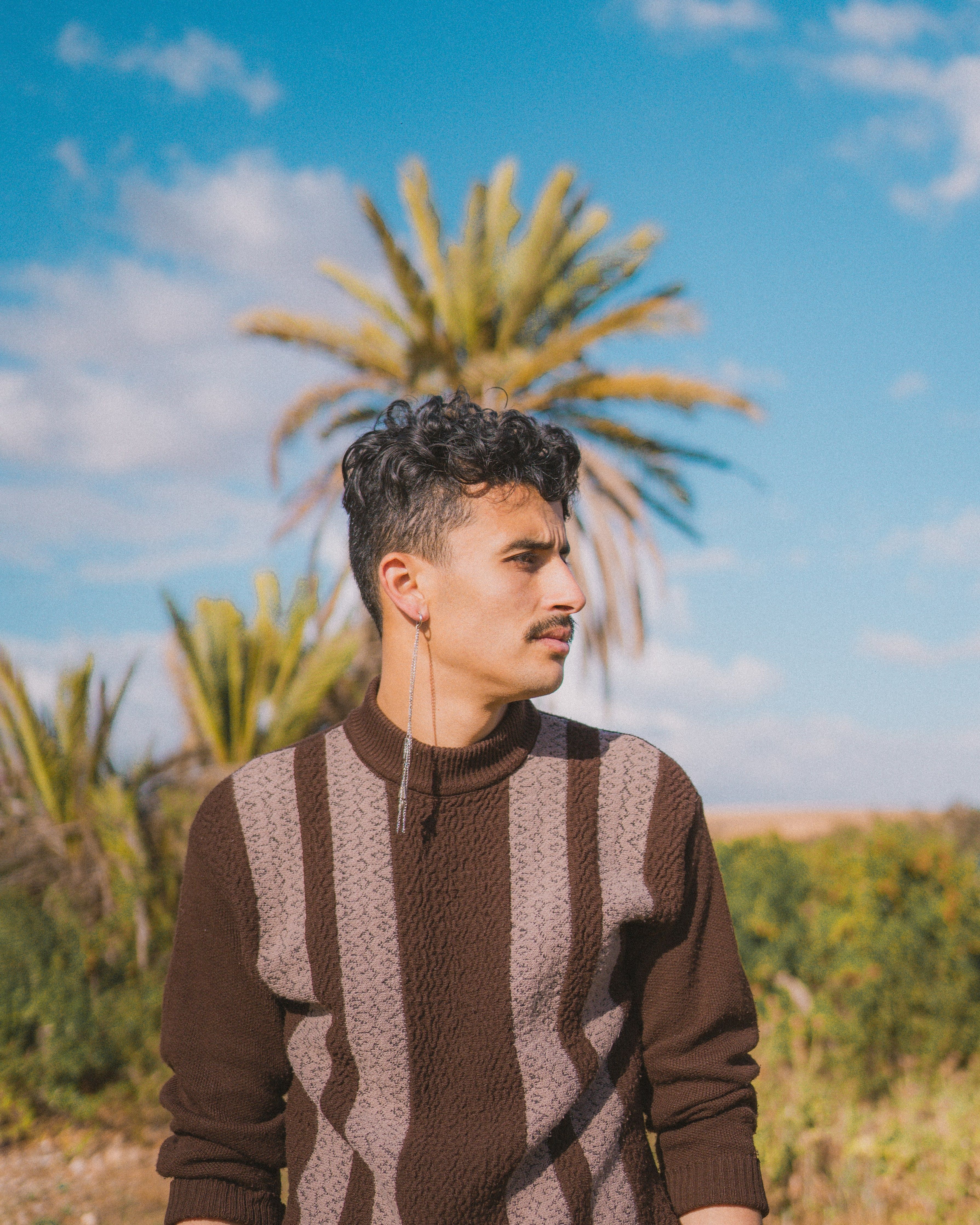 Portrait of a fashionable man in brown sweater amidst Moroccan palms.