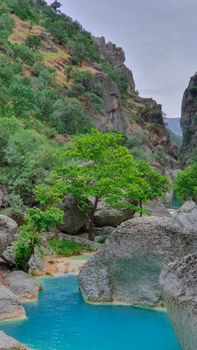 A vibrant landscape of a gorge with a bright blue river and lush green trees, creating a picturesque scene.