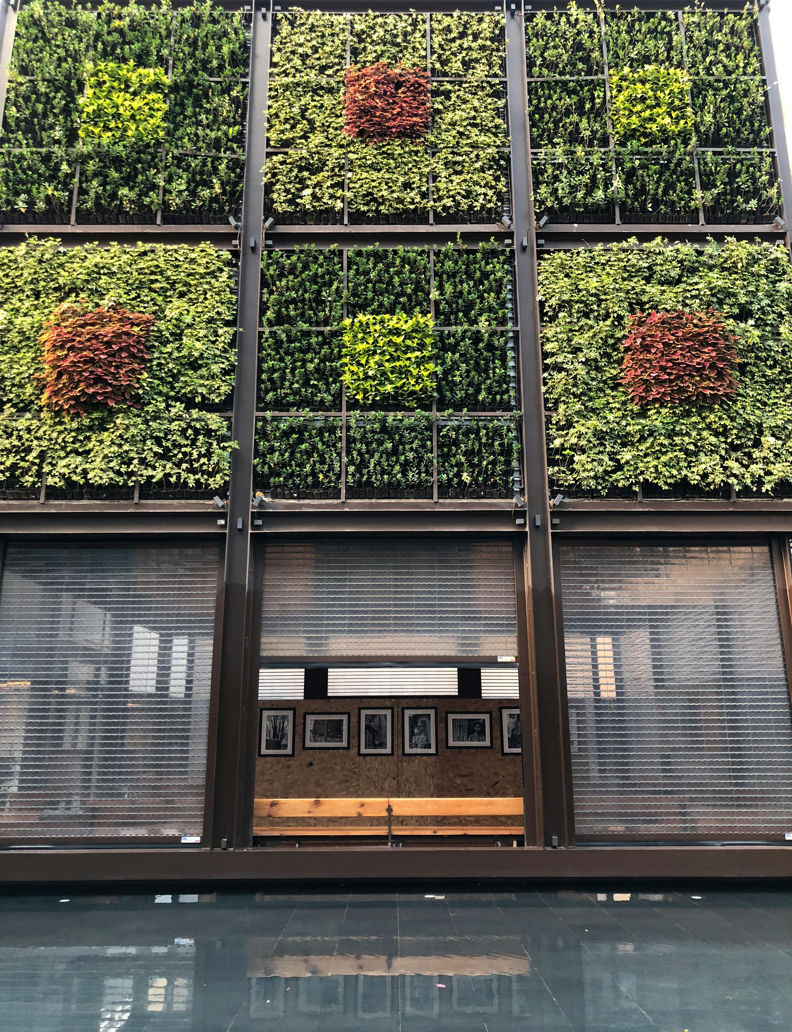 Free stock photo of arquitecture, art gallery, botany