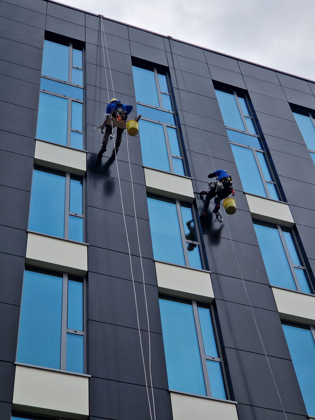 Window cleaners rappelling down a high-rise facade