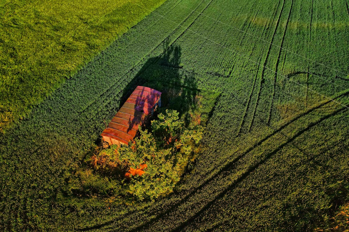 Aerial View of a Building on a Cropland 