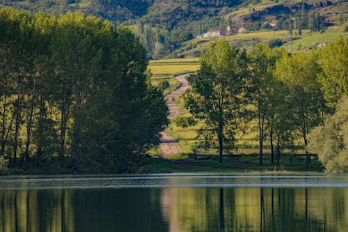 View of a Body of Water, Trees and the Countryside in Summer 