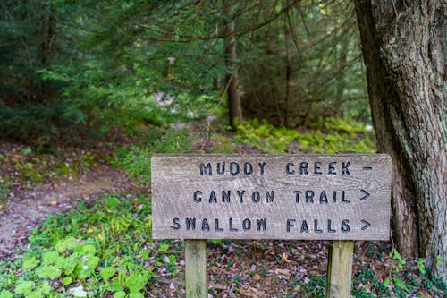Swallow Falls State Park Muddy Creek Canyon Trail