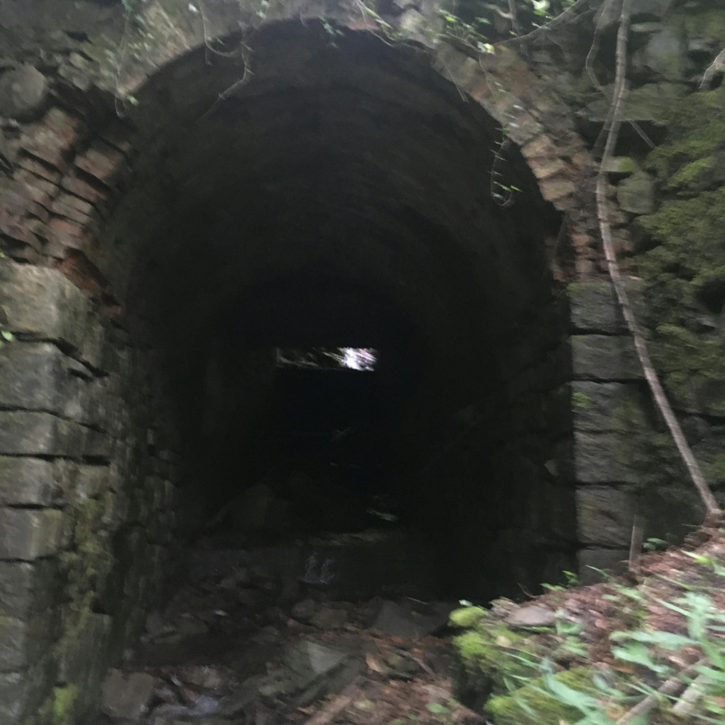 Leonardo Caporali 摄影