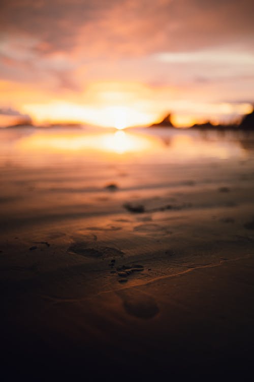 Close-up of Footprints in the Sand on the Beach at Sunset 