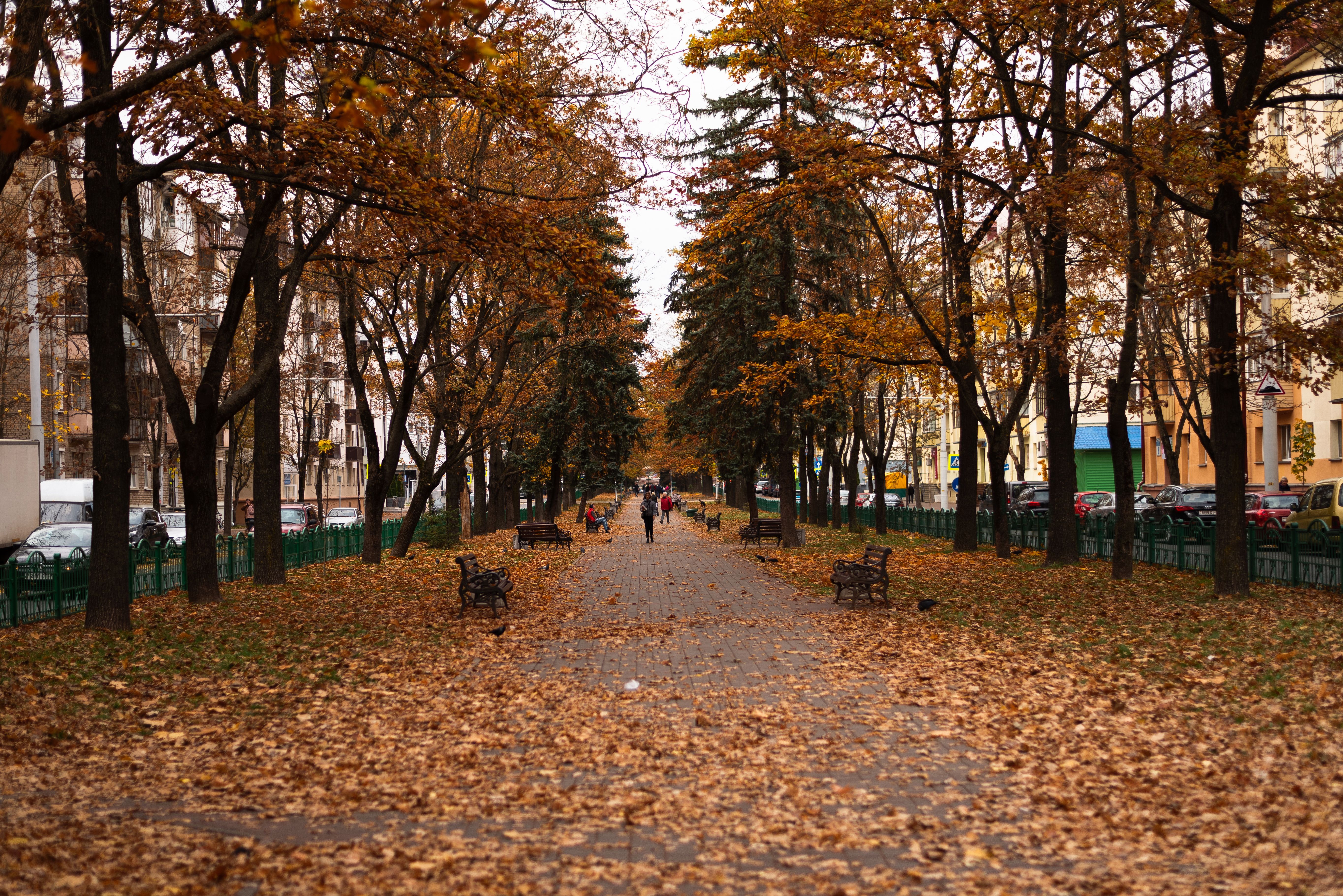 Urban Alley Covered with Autumnal Leaves · Free Stock Photo