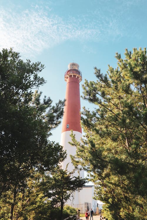 Foto profissional grátis de EUA, farol de barnegat, marcos locais