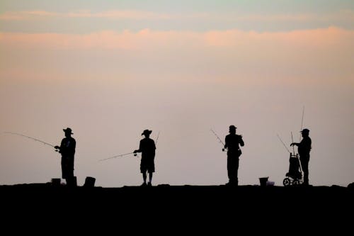 Gratis lagerfoto af fiskestænger, folk, fritid