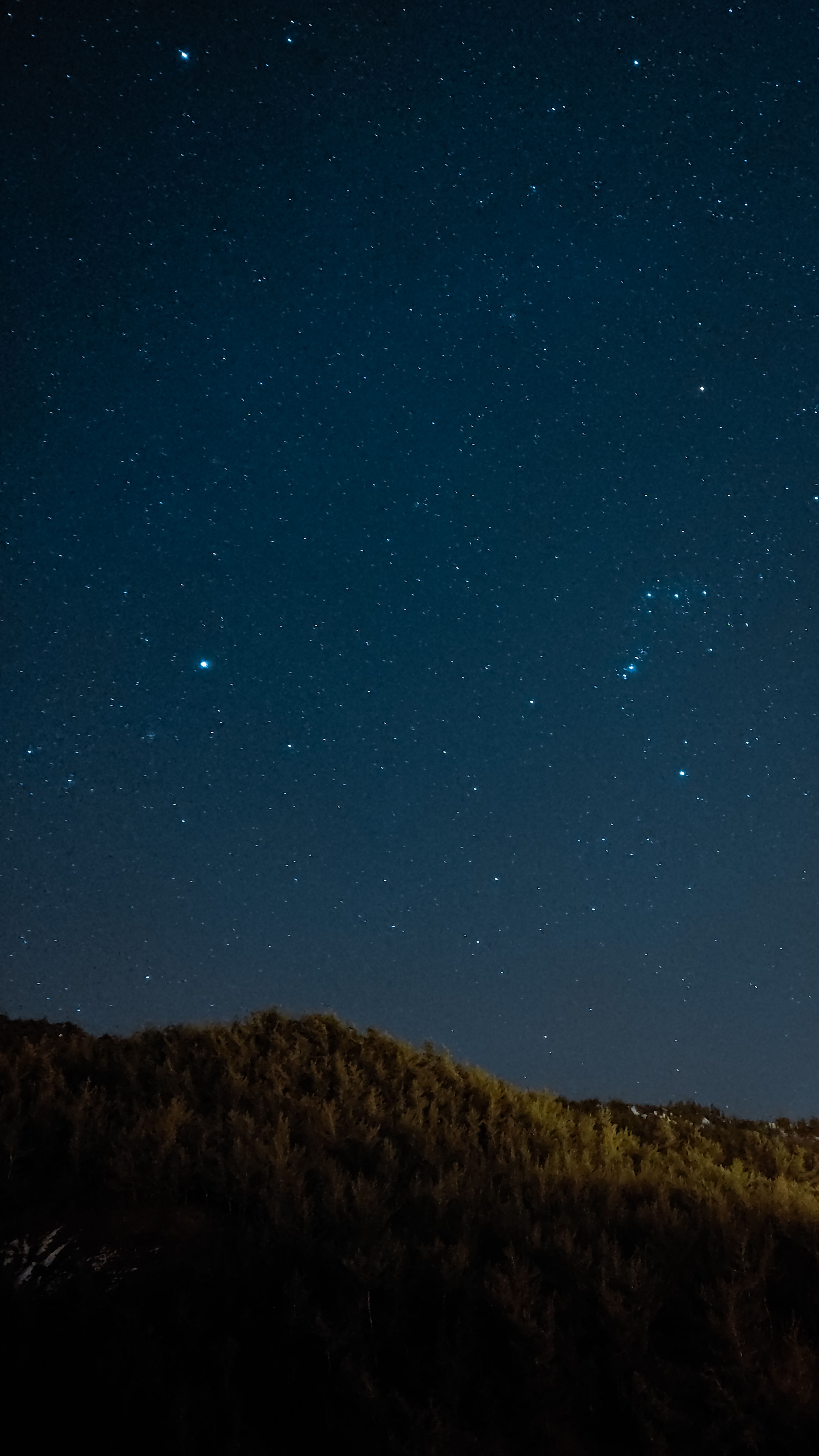 The Stars Tonight: Trivia Dome at Bishop Museum
