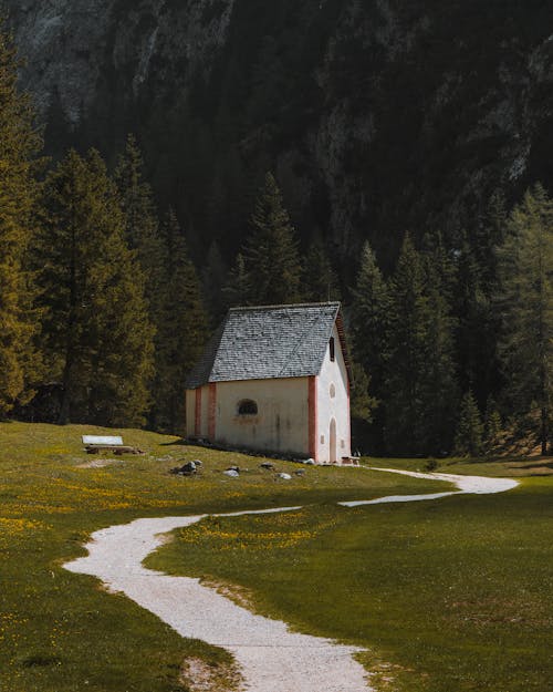 House near Forest