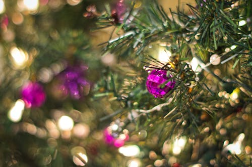 Christmas Tree With Purple Baubles