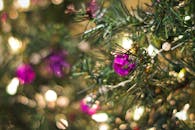 圣诞树特写镜头中，紫色装饰物与闪烁的灯光相映成趣