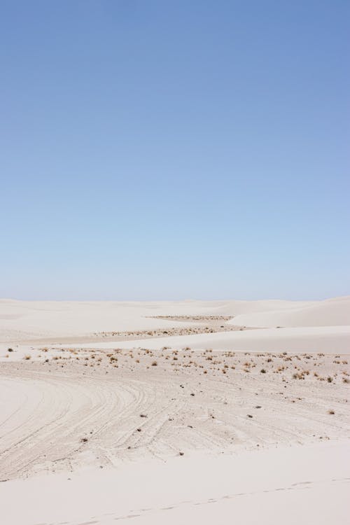 Gratis lagerfoto af blå himmel, gold, landascope