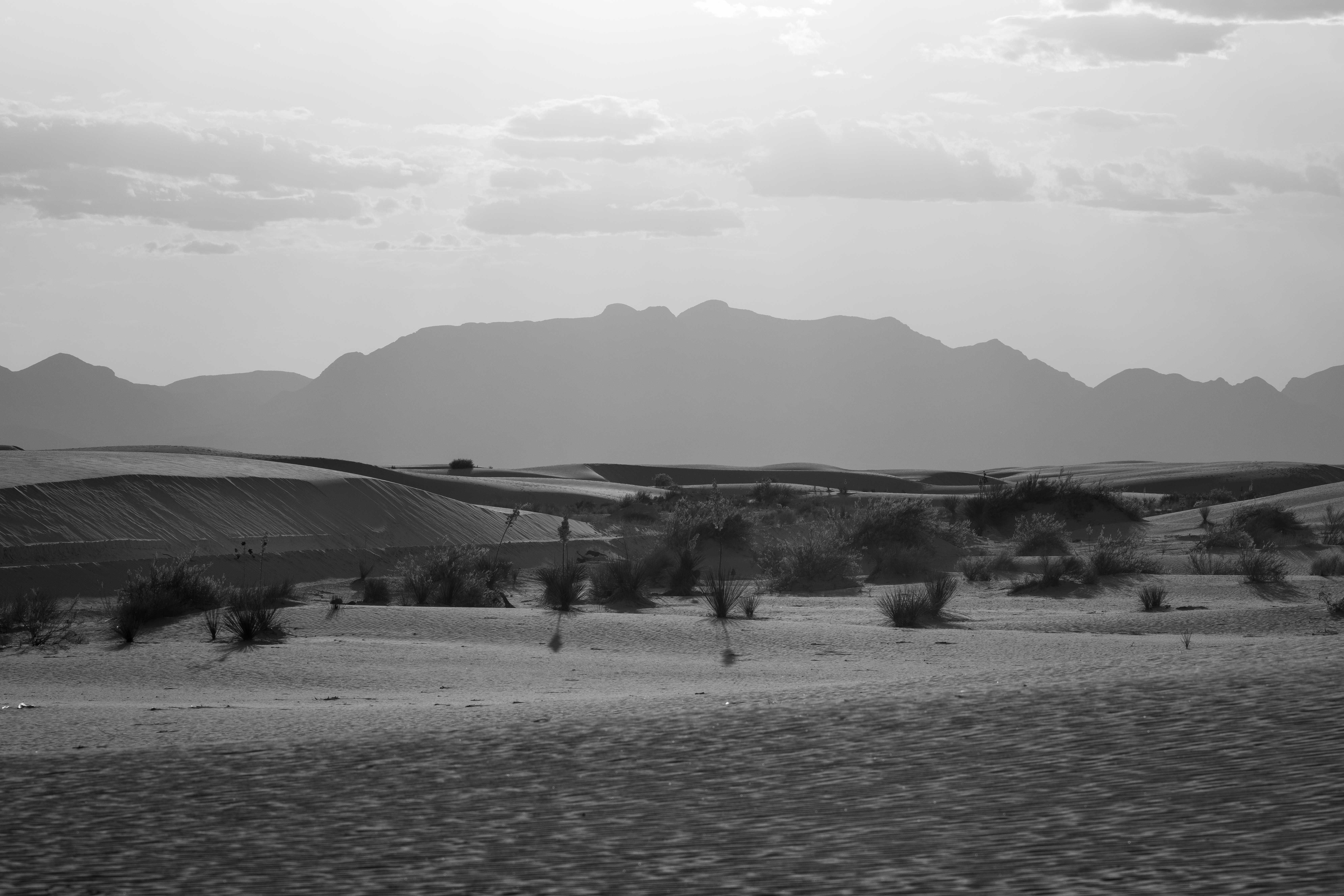 White gypsum dunes in the Salt Basin Dunes unit of Guadalupe Mountains National Park