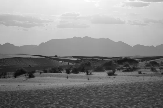 White gypsum dunes in the Salt Basin Dunes unit of Guadalupe Mountains National Park