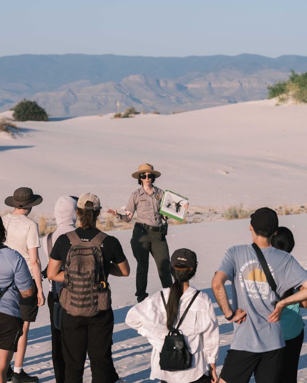 Tour Guide Clean Tourists with a Tour Guide · Free Stock Photo