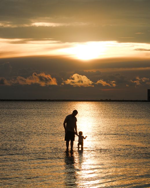 A father and child walk in the water at Tampa Bay during a warm, golden sunset.