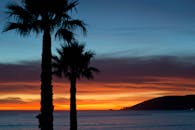 宁静的热带日落映照着海洋，棕榈树的轮廓与充满活力的色彩交织其中
