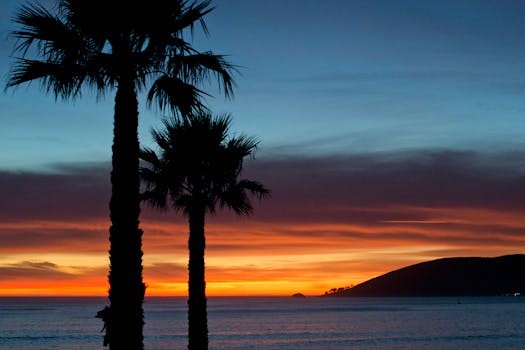 宁静的热带日落映照着海洋，棕榈树的轮廓与充满活力的色彩交织其中