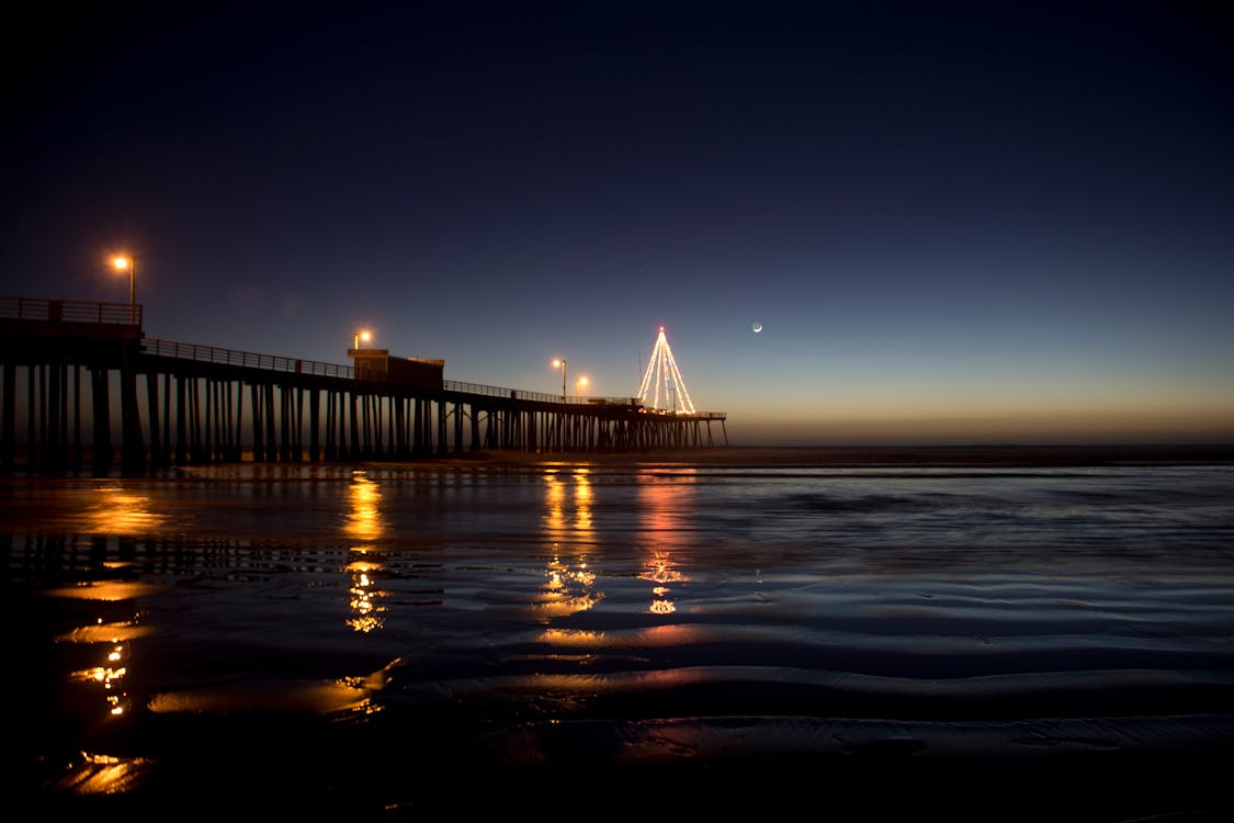 Dock and Shore Photo