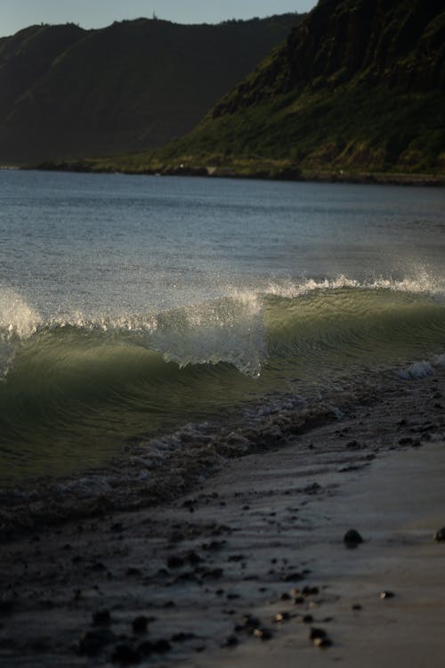 Foto stok gratis Amerika Serikat, gelombang, hawaii