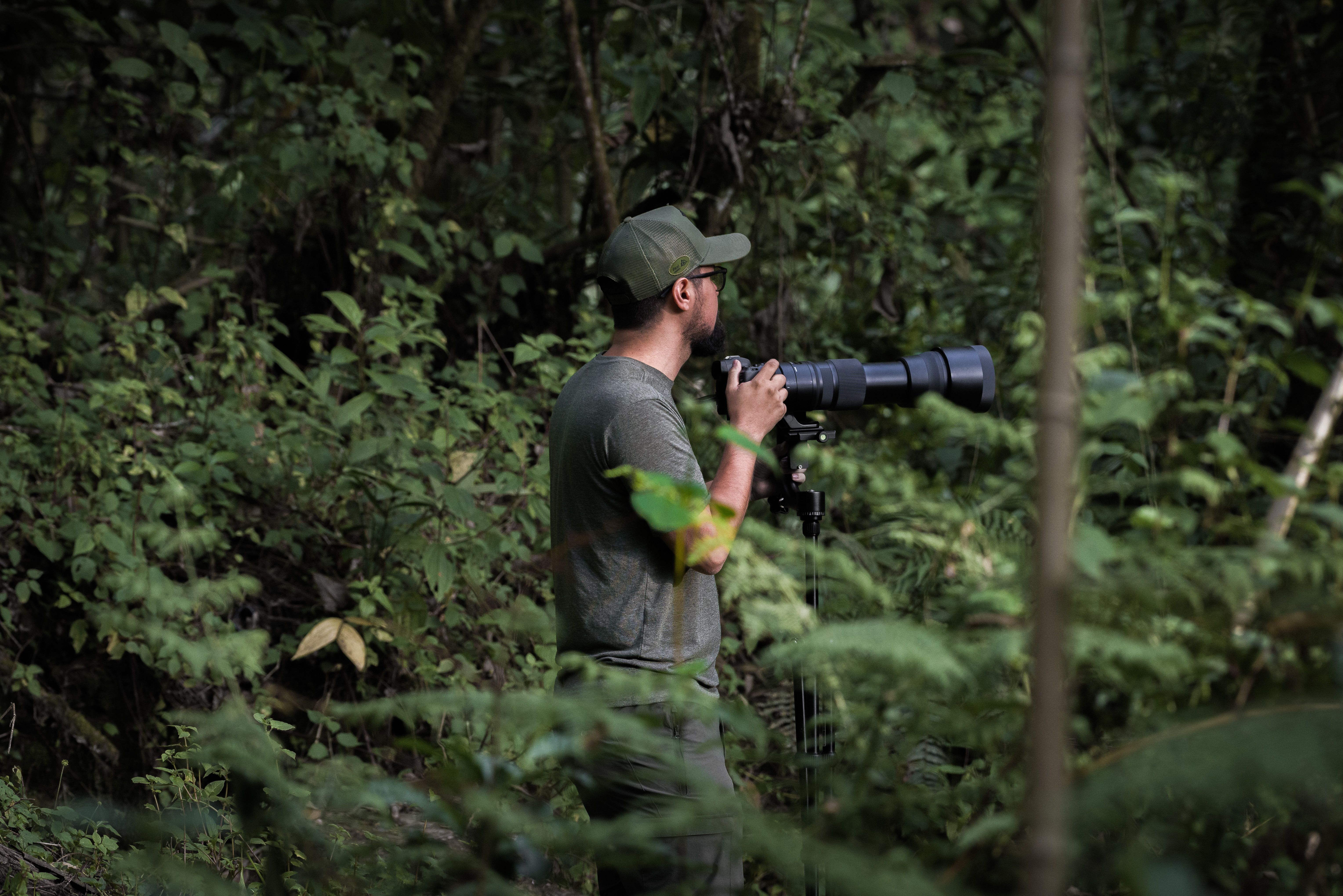 A photographer with a telephoto lens captures nature in a dense forest setting.