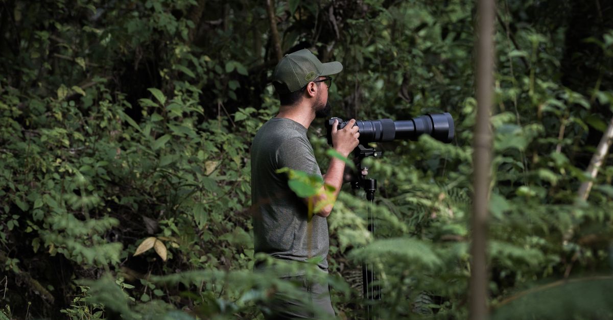 A photographer with a telephoto lens captures nature in a dense forest setting.