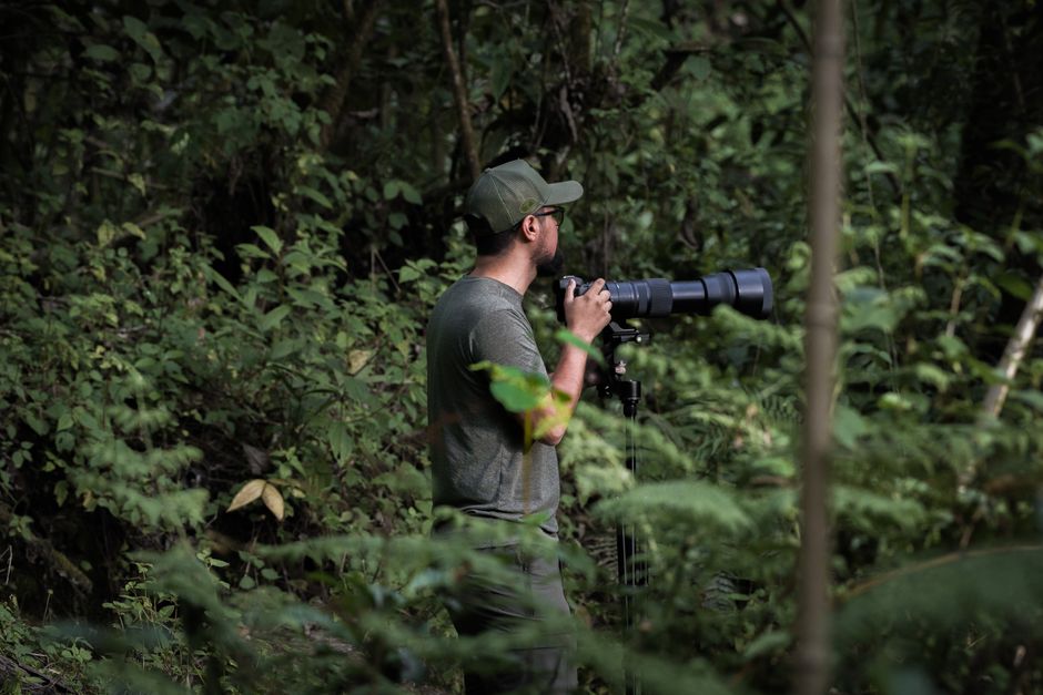 Photographe de nature en forêt tropicale Photographe professionnel équipé d'un téléobjectif haut de gamme au cœur d'une forêt tropicale humide. Photo Gorille Montagne