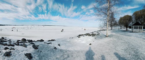 Frozen lake