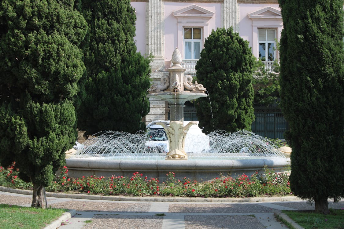 fuente de las tortugas