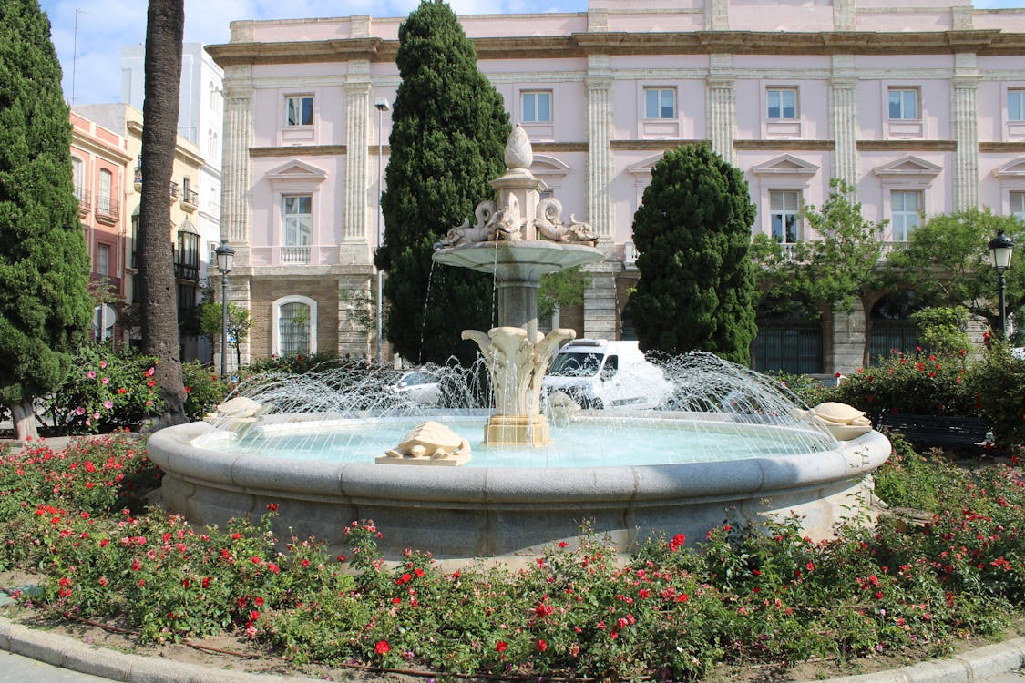 fuente de las tortugas