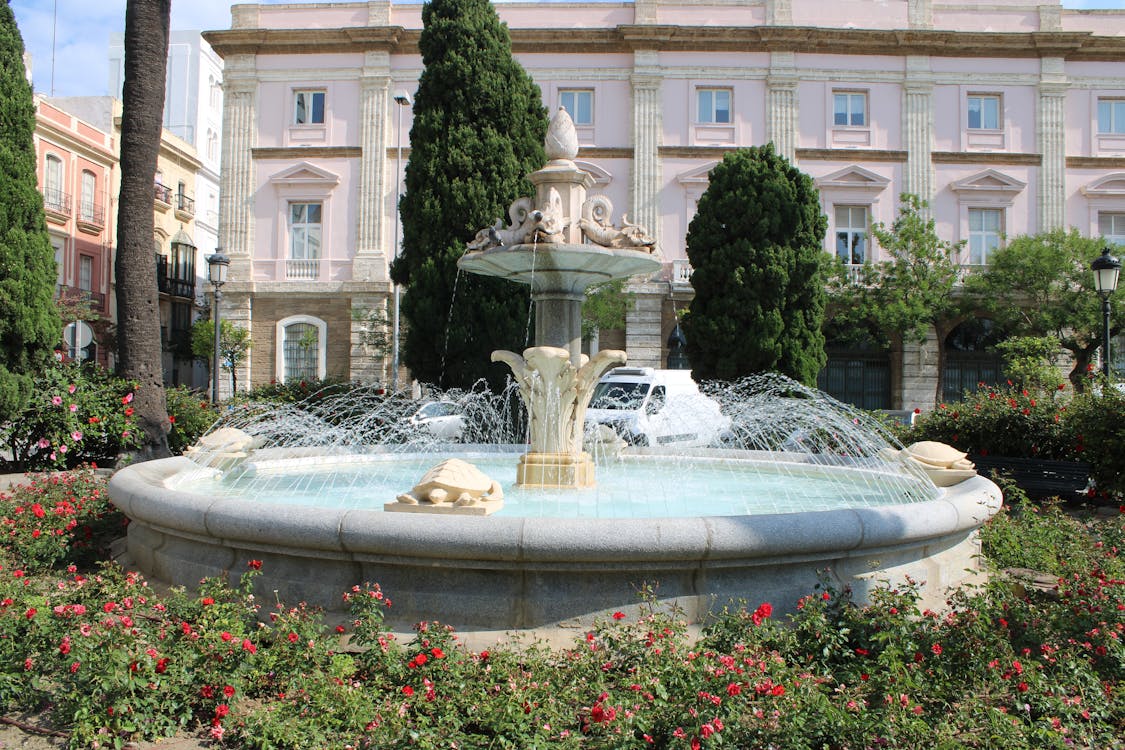 fuente de las tortugas