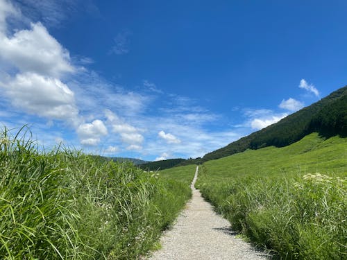 Gravel Path in the Green Foothills