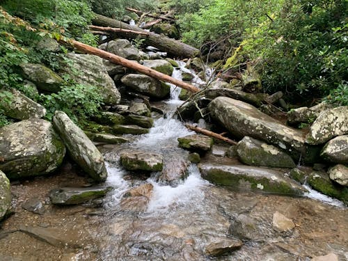 Broken Trees and Rocks over Stream