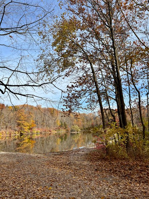 Free Tranquil autumn scene with colorful trees reflecting in a still lake under a clear sky. Stock Photo
