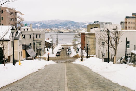 Snow-covered urban street leading to a bay, surrounded by city buildings and distant mountains.