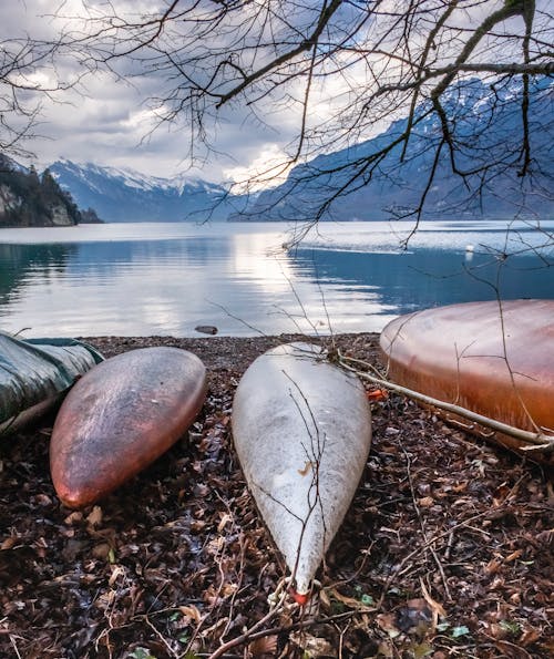 Immagine gratuita di avventura, canoe, lago