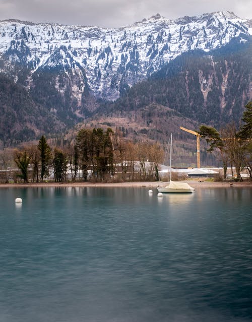 Бесплатное стоковое фото с brienz, вертикальный выстрел, горы