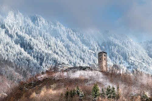 คลังภาพถ่ายฟรี ของ interlaken, ชนบท, ซากปรักหักพัง