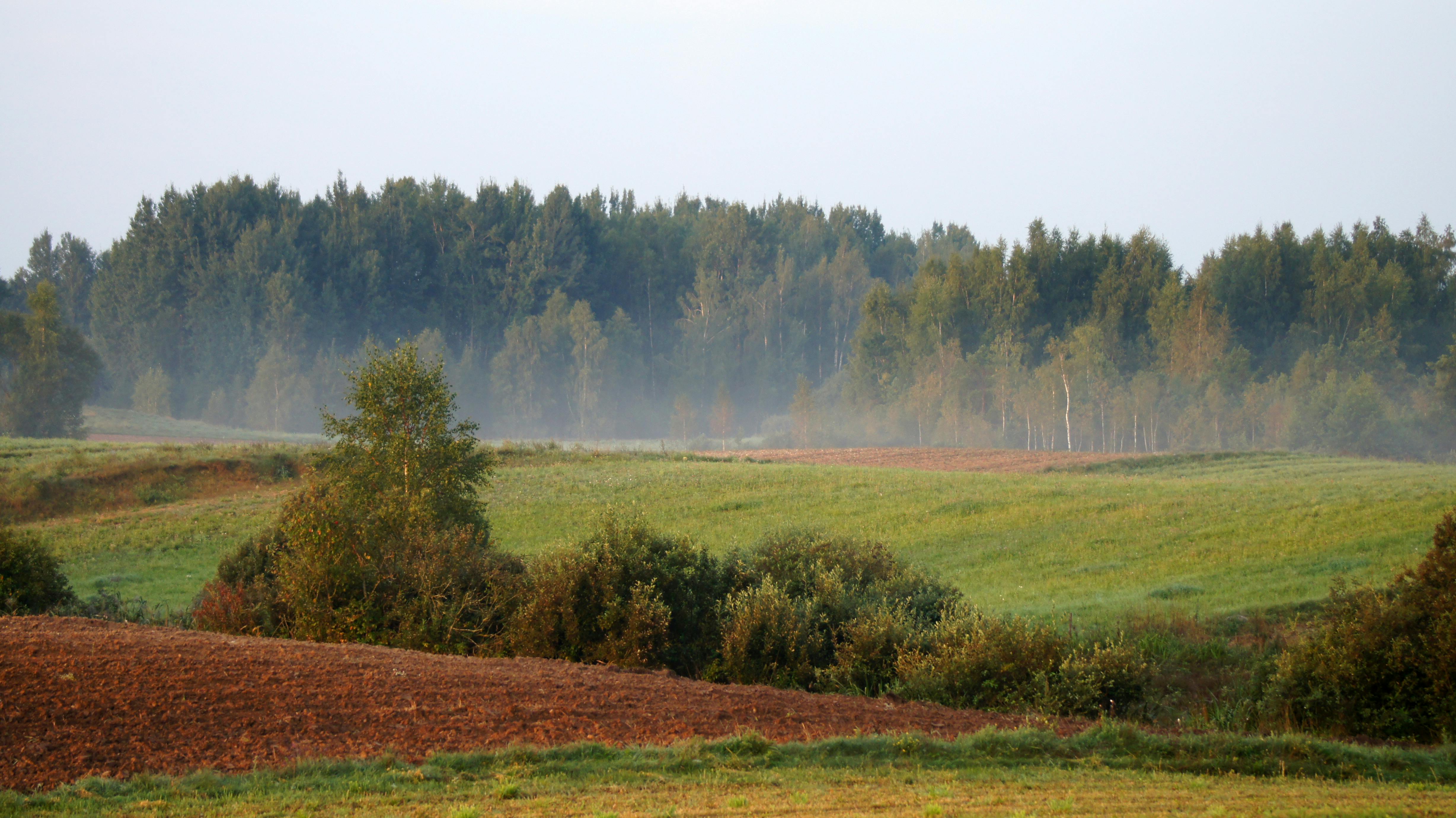 차 보험 계산 이미지
