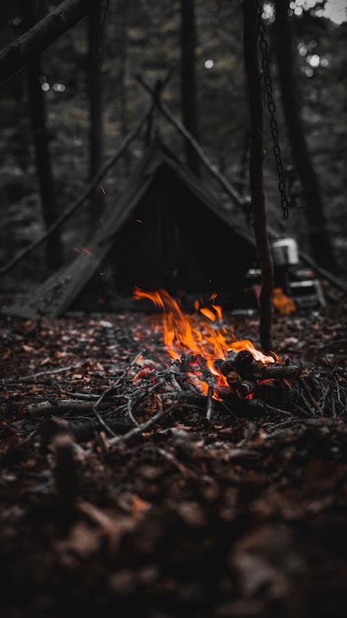 Bonfire in a Forest Survivalist Camp