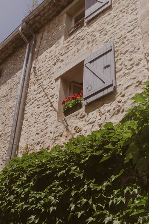 A Residential Building Over the Hedge