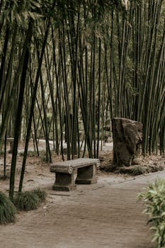 Serene stone bench in a lush bamboo grove offers a peaceful retreat.