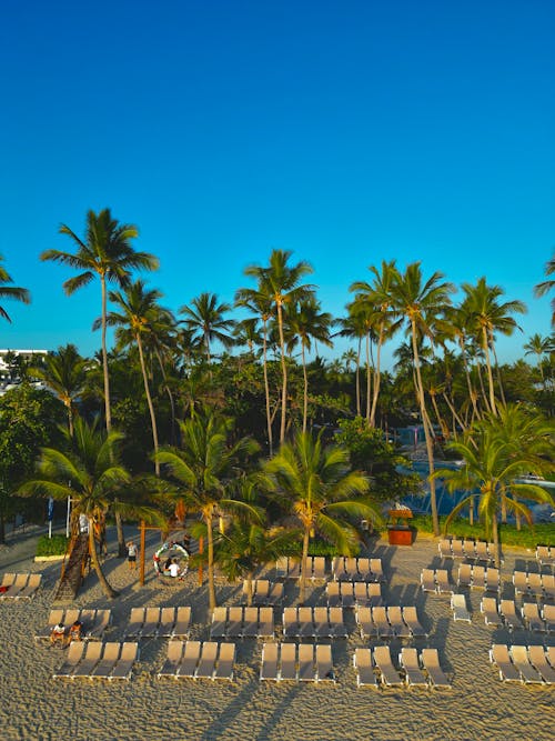 Sunbeds on the Beach in a Tropical Resort