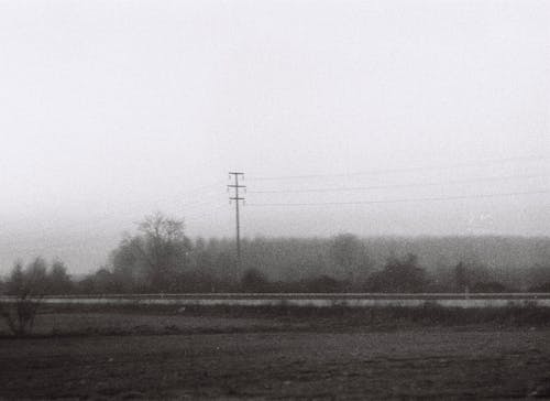Imagine de stoc gratuită din alb-negru, câmp, ceață